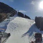 Aurikel Corso