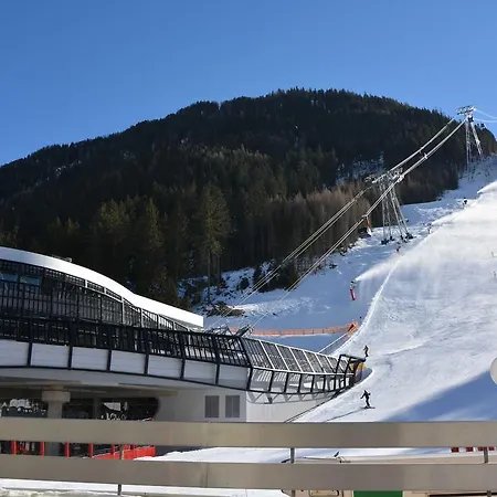 Daire Aurikel Corso *