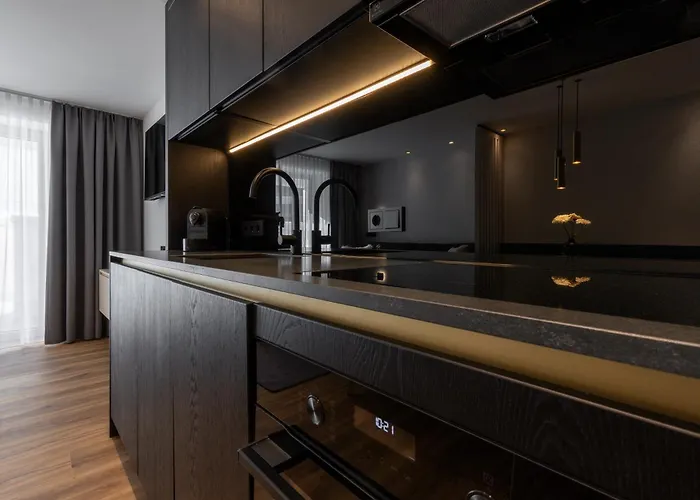 阿瑞克尔科索公寓 *