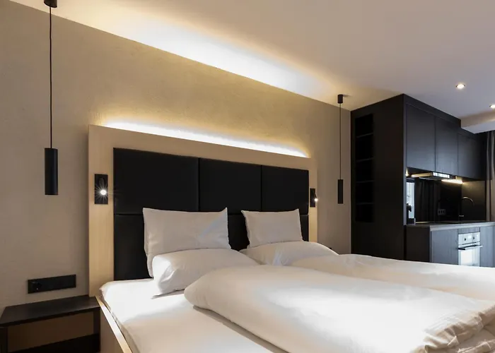 公寓 阿瑞克尔科索公寓 *